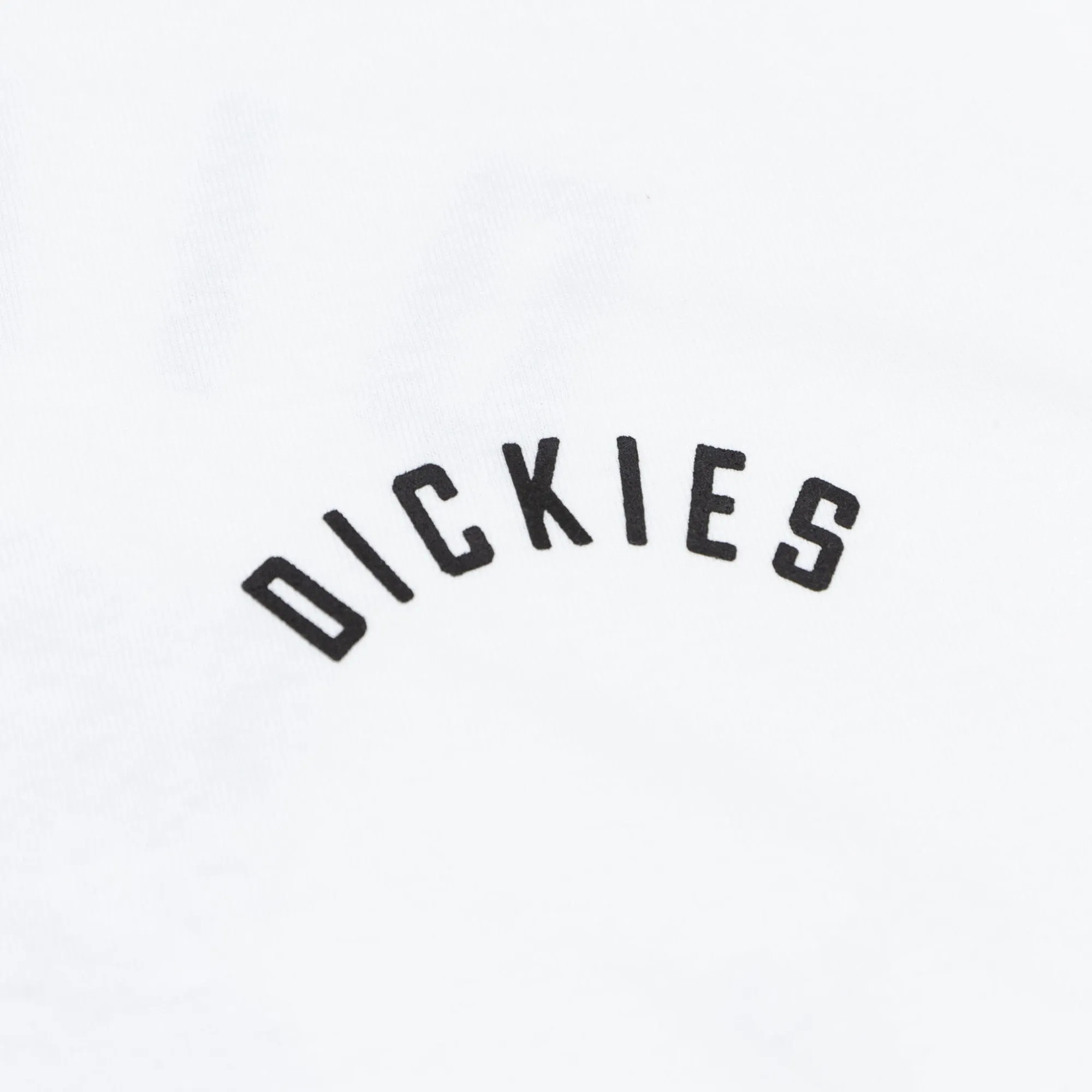 Dickies Panther T-Shirt - White